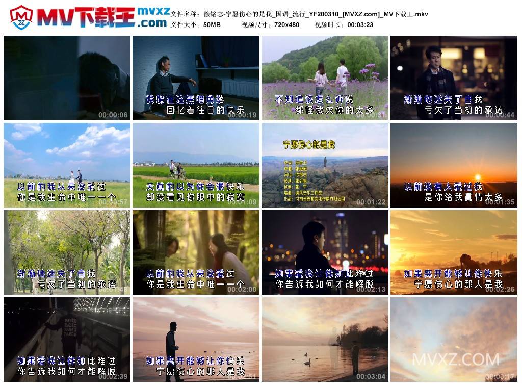 徐铭志-宁愿伤心的是我_国语_流行_YF200310